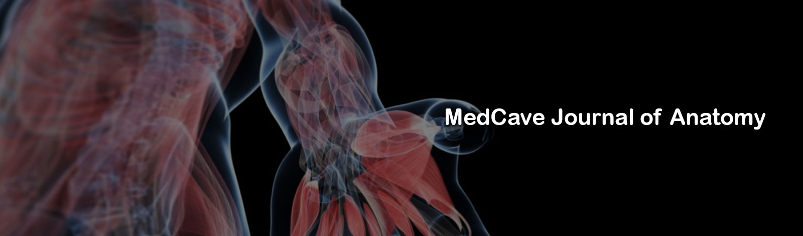 MedCave Journal of Anatomy